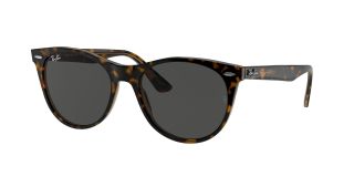 Gafas de sol Ray Ban 0RB2185 WAYFARER II Marrón Redonda