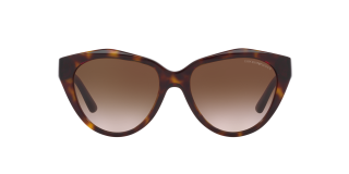 Gafas de sol Emporio Armani 0EA4178 Marrón Mariposa - 1