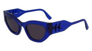 Gafas de sol Karl Lagerfeld KL6122S Azul Mariposa