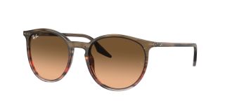 Gafas de sol Ray Ban 0RB2204 Marrón Redonda - 1